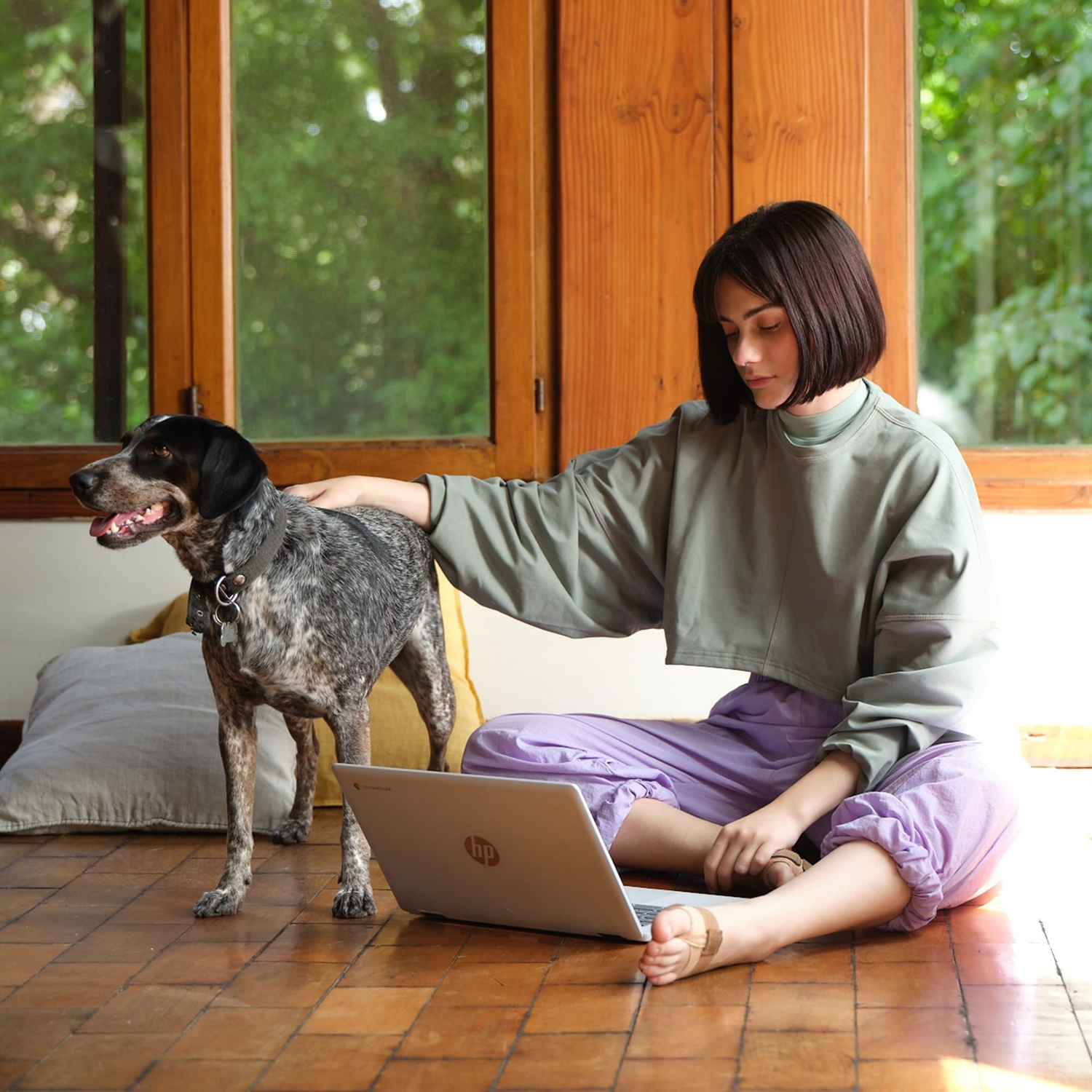 Woman and dog. Woman pets a dog while sitting on the floor using a laptop. Wooden window and trees in the background.