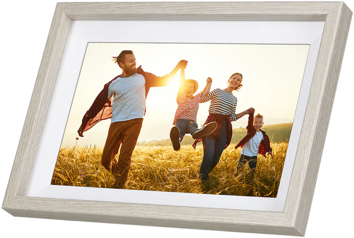 Famille de quatre se tenant la main, sautant dans un champ. Photo encadrée, parents et enfants, journée ensoleillée.