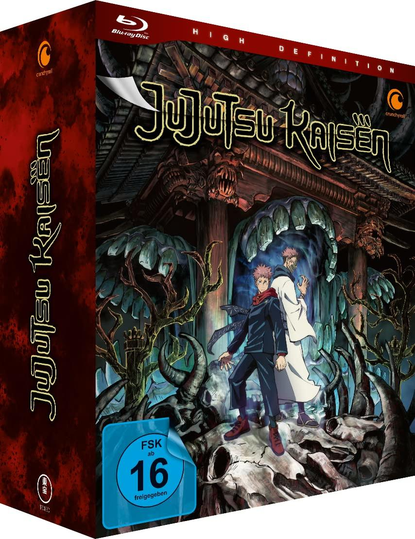 Jujutsu Kaisen Blu-ray-Cover. Zwei Charaktere stehen vor einem Tempel. Dunkelroter Hintergrund, mit FSK 16.
