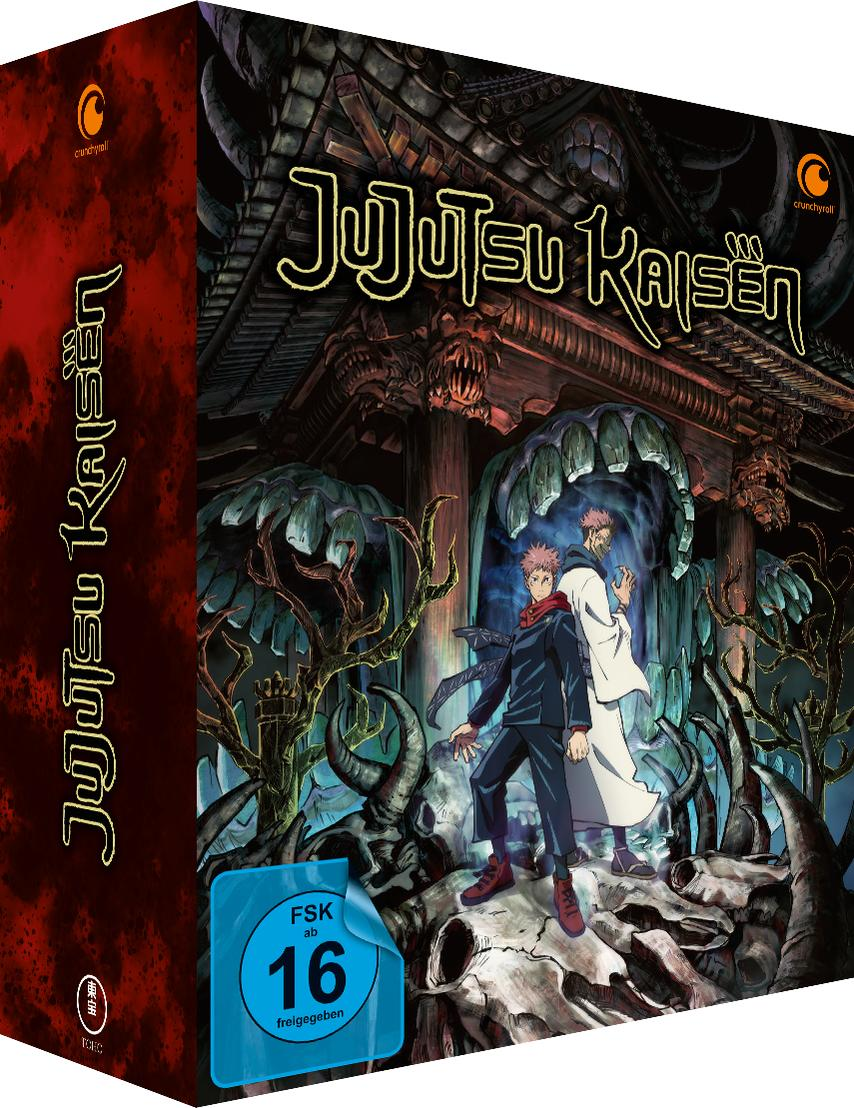 Jujutsu Kaisen DVD-Cover mit zwei Anime-Charakteren vor einem Tempel. Dunkle, stilisierte Kunst mit FSK 16-Einstufung.