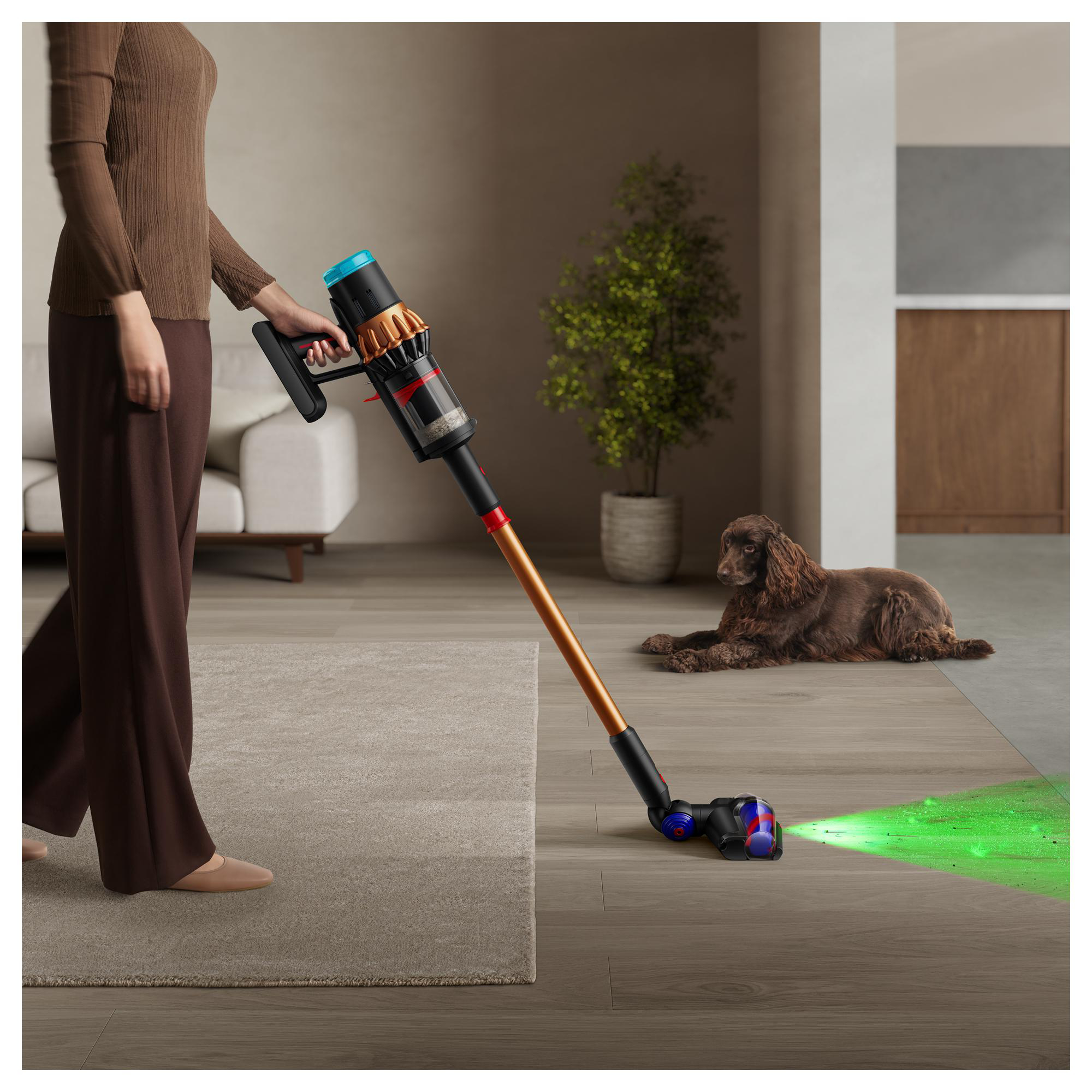 Person saugt den Boden mit einem Dyson. Ein Hund liegt. Der Staubsauger hat ein grünes Licht auf dem Boden. Auf dem Boden liegt ein Teppich.