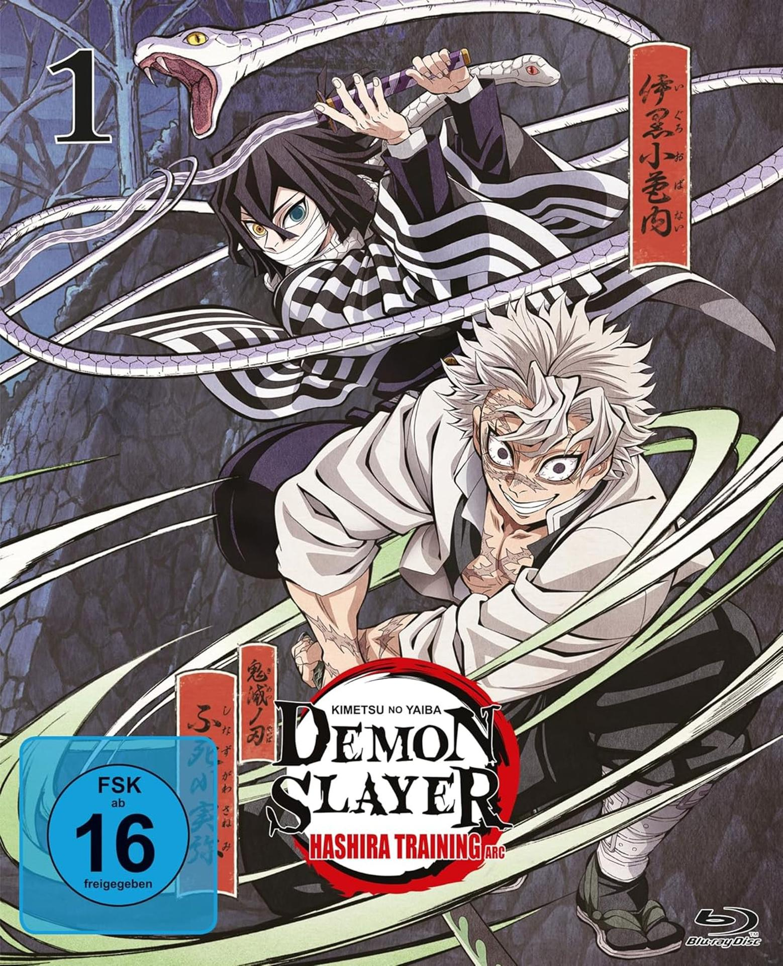 Anime-Cover. Zwei Figuren mit Schwertern, eine mit weißen Haaren und Narben, die andere mit schwarzen Haaren und Bandagen, eine Schlange oben.