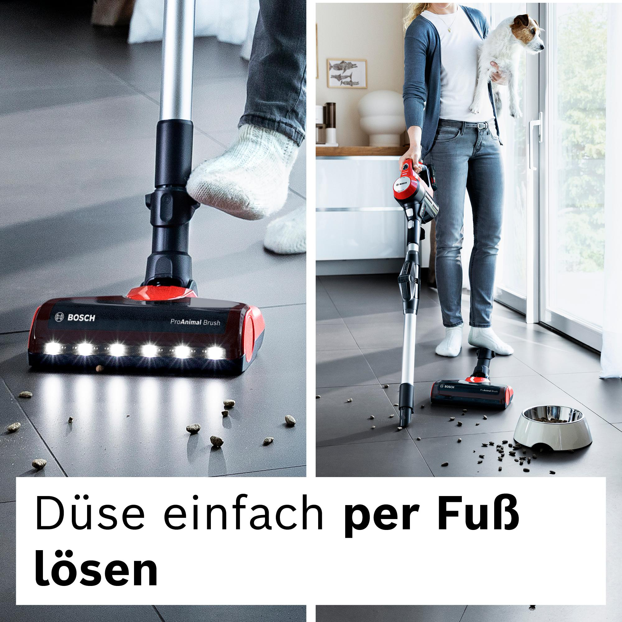 Eine Person benutzt einen Bosch-Staubsauger. Frau hält Hund in der Nähe des Fensters. Saugkopf liegt auf dem Boden mit Schmutz.