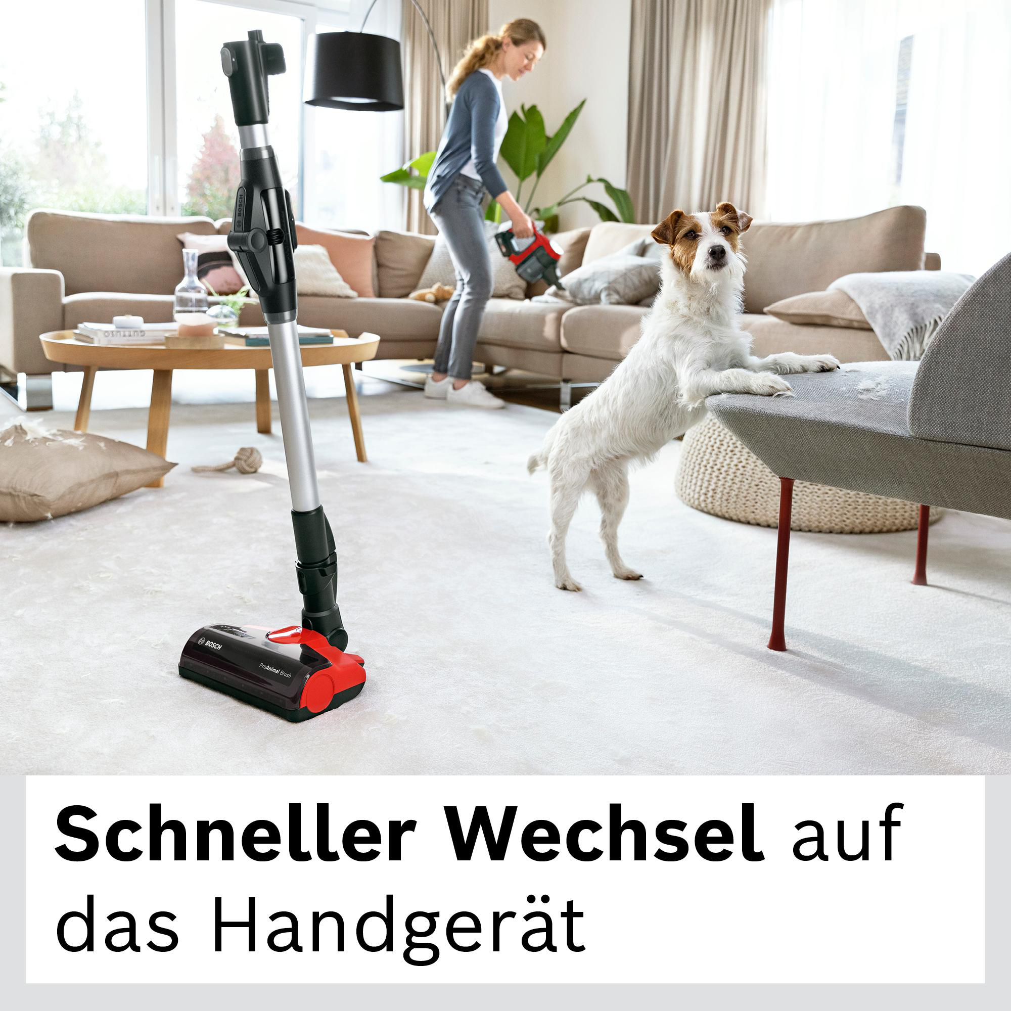 Frau beim Staubsaugen, Hund auf dem Stuhl. Staubsauger im Vordergrund. Sofa und Fenster im Hintergrund.
