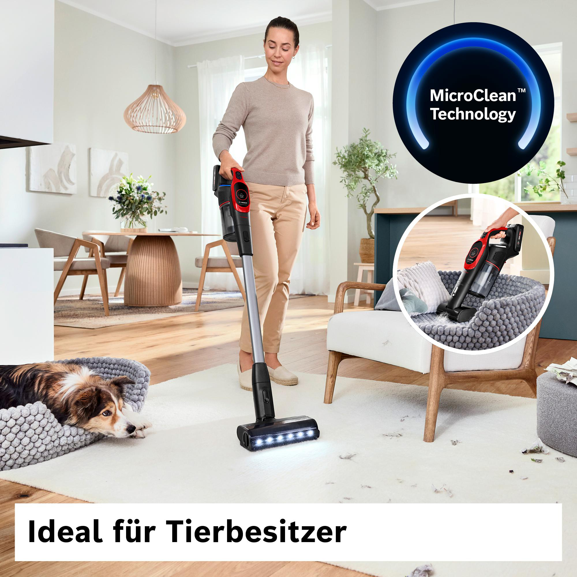 Eine Frau saugt einen Teppich im Wohnzimmer. Ein Hund ruht in einem Bett. Eine Aufnahme zeigt einen Staubsauger, der ein Kissen reinigt.