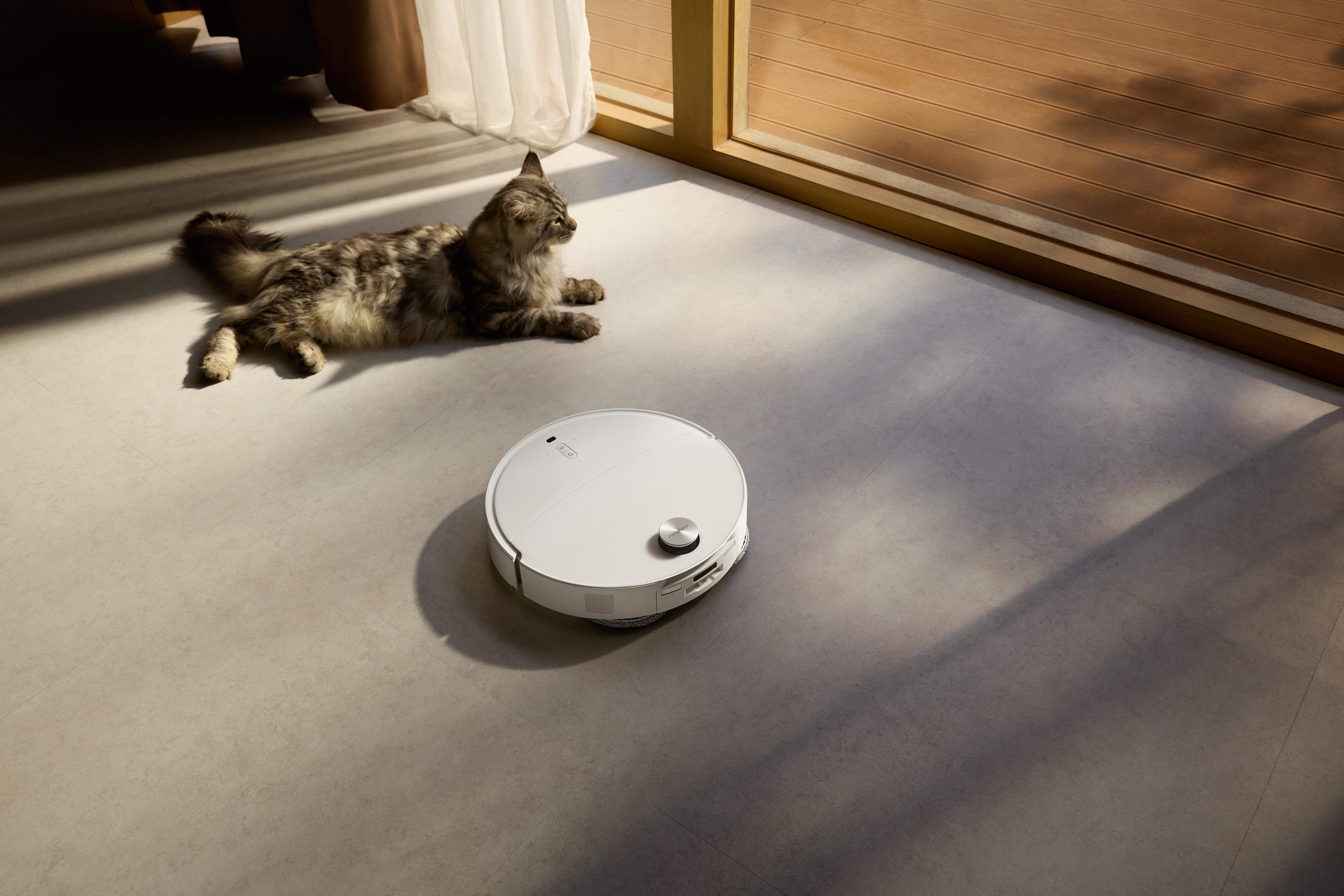 Eine Katze liegt neben einem weißen Roboter-Staubsauger auf dem Boden. Sonnenlicht fällt durch ein Fenster ein.