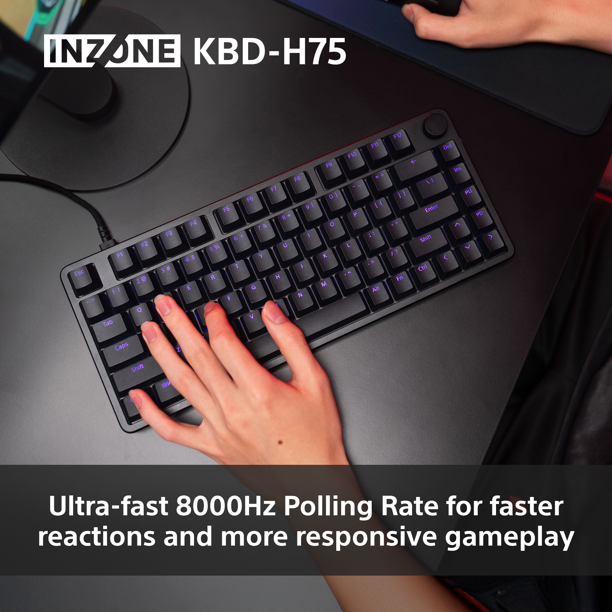 Eine schwarze INZONE KBD-H75-Tastatur mit lila beleuchteten Tasten. Hände tippen. Text unten sagt Ultra-schnelle 8000Hz Polling-Rate.
