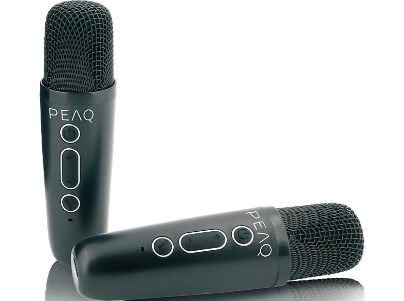 Peaq PKM-100 Karaoke Machine, Bluetooth, Schwarz; Bluetooth-Lautsprecher — Foto 2 von 5