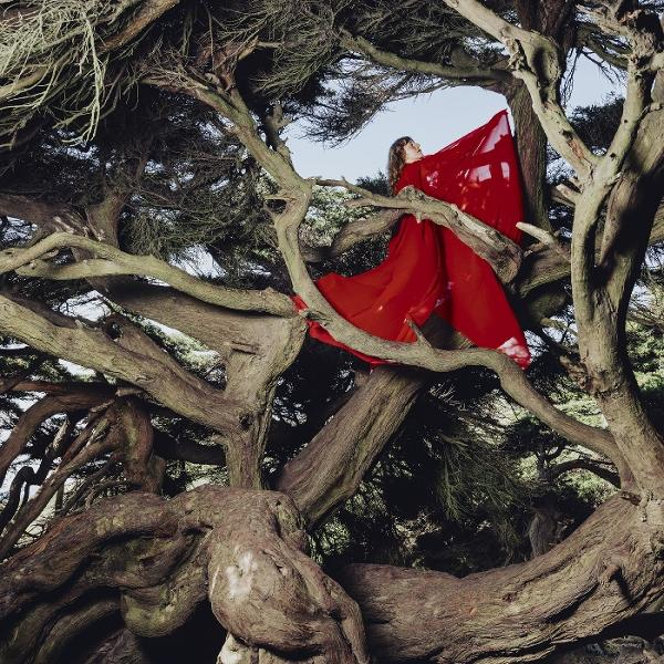 Eine Frau in einem roten Kleid sitzt in einem Baum. Der Baum hat viele Äste. Der Himmel ist durch die Äste sichtbar.
