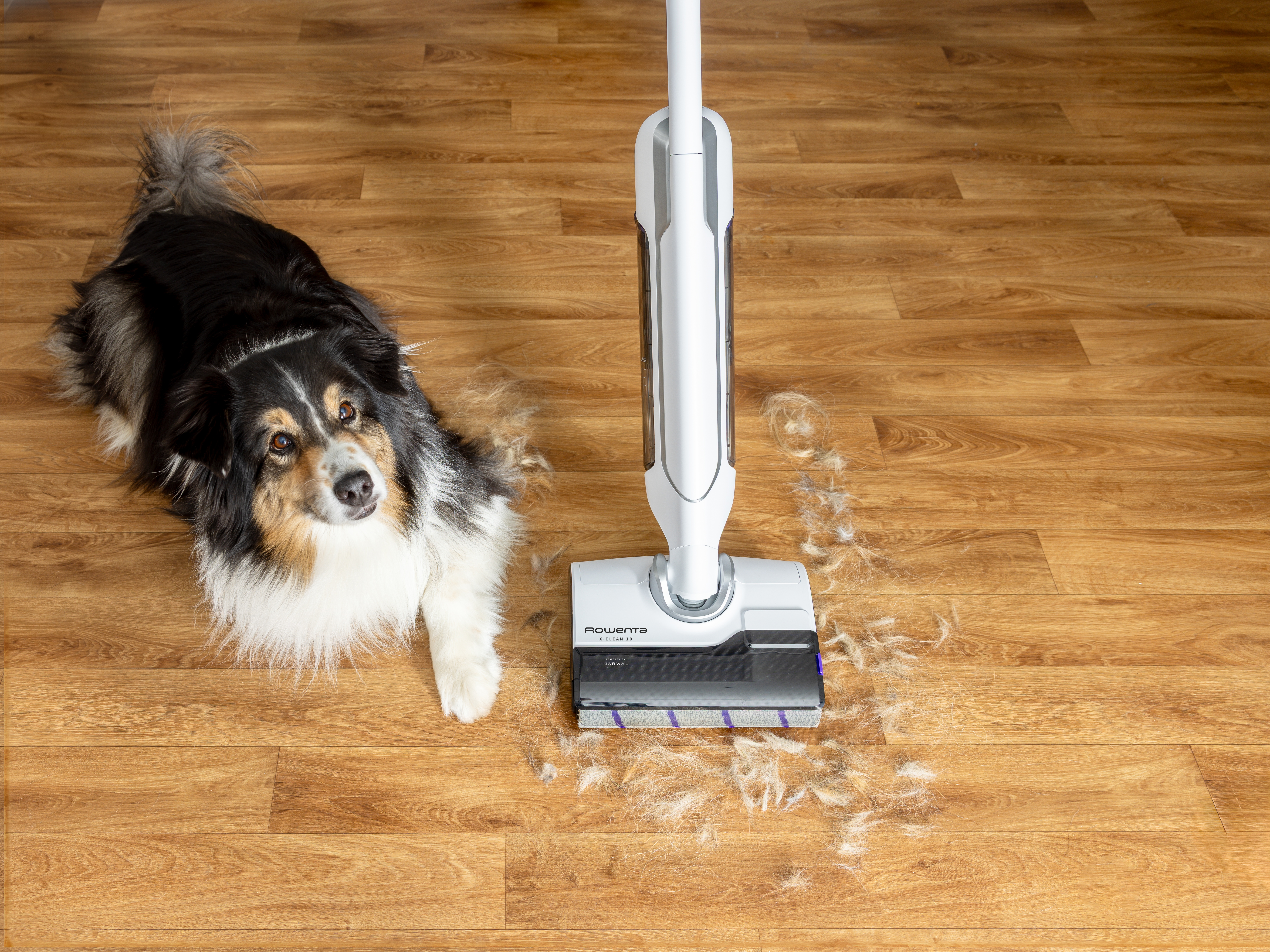 Ein Hund liegt auf einem Holzboden neben einem Staubsauger. Hundehaare sind um den Staubsauger verstreut.