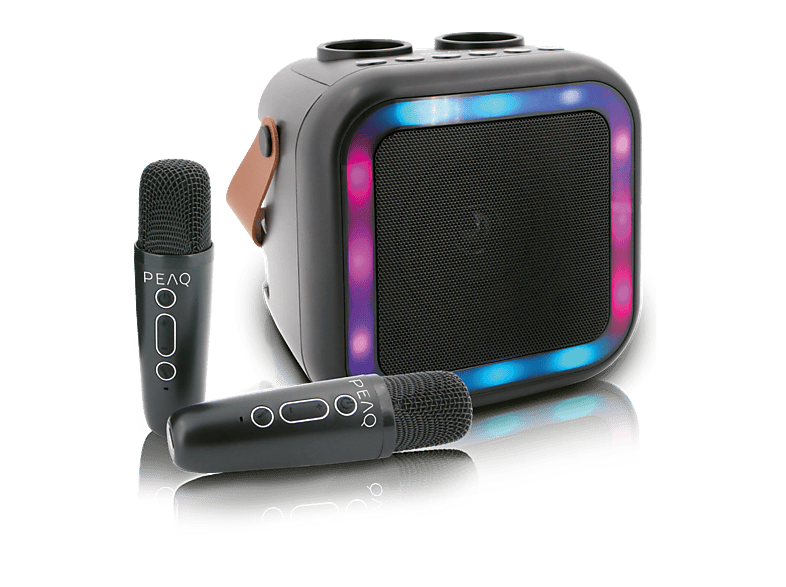 Peaq Pkm-100 Karaoke Noir