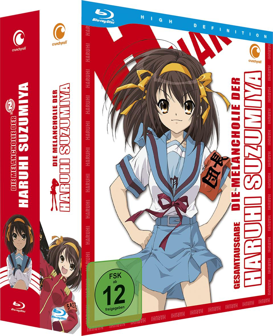 Anime-DVD-Box. Ein Mädchen mit braunen Haaren und gelben Bändern steht. Text sagt 'Haruhi Suzumiya'.