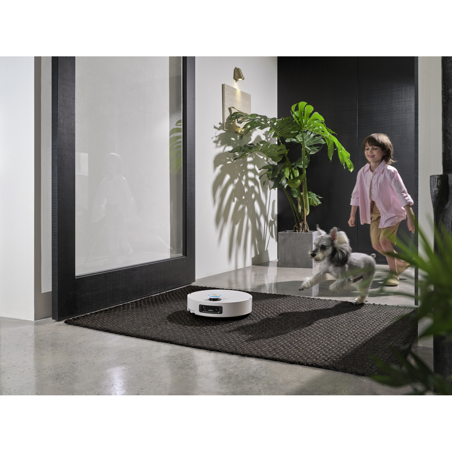 Een kind en een hond rennen langs een robotstofzuiger op een donkerbruin tapijt. Een grote plant staat op de achtergrond, bij een deur.