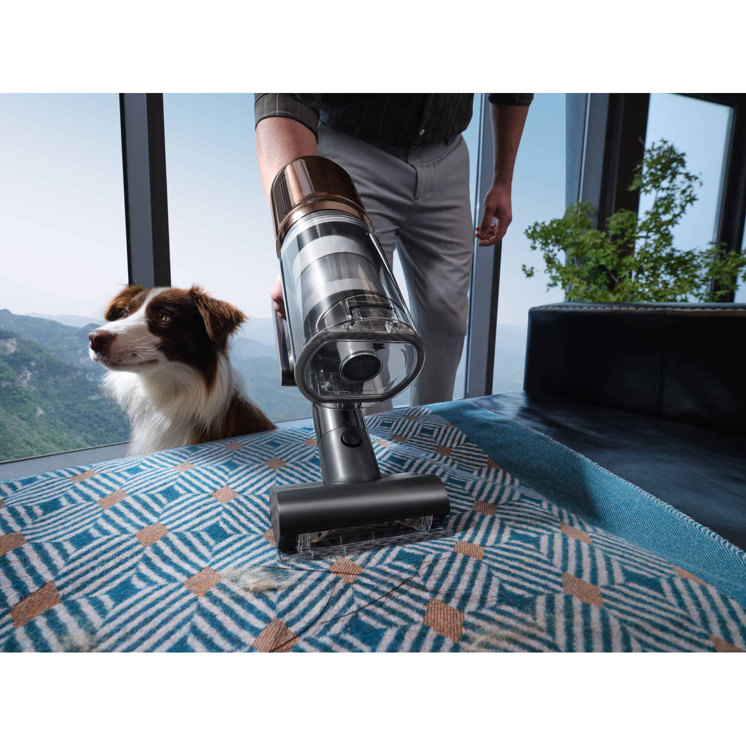 A person vacuums a patterned blanket. A dog looks on from the window. Mountains are visible outside. The vacuum is metallic.