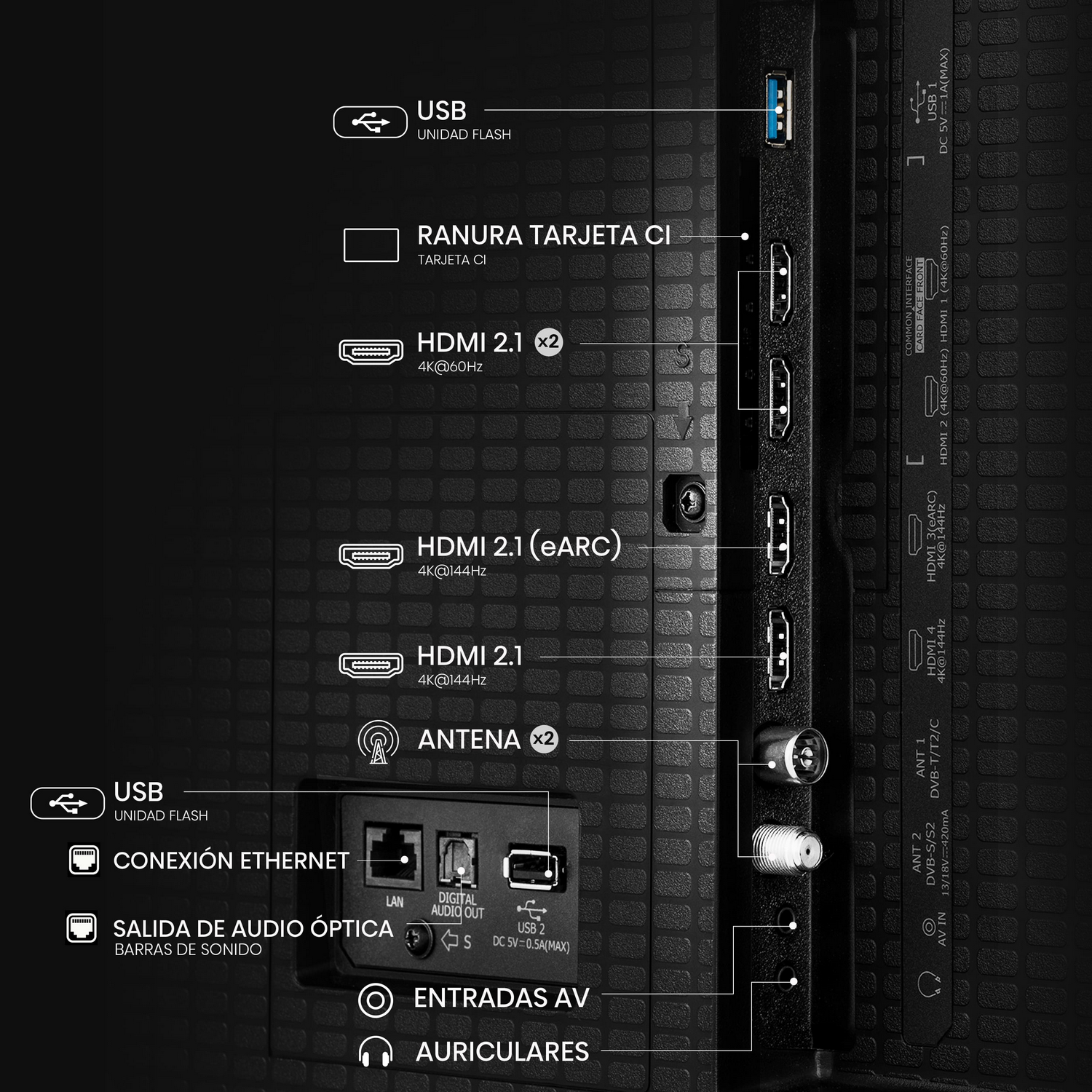 Panel trasero de TV con puertos: USB, HDMI, antena, Ethernet y salidas de audio. Etiquetas de texto identifican cada conexión.