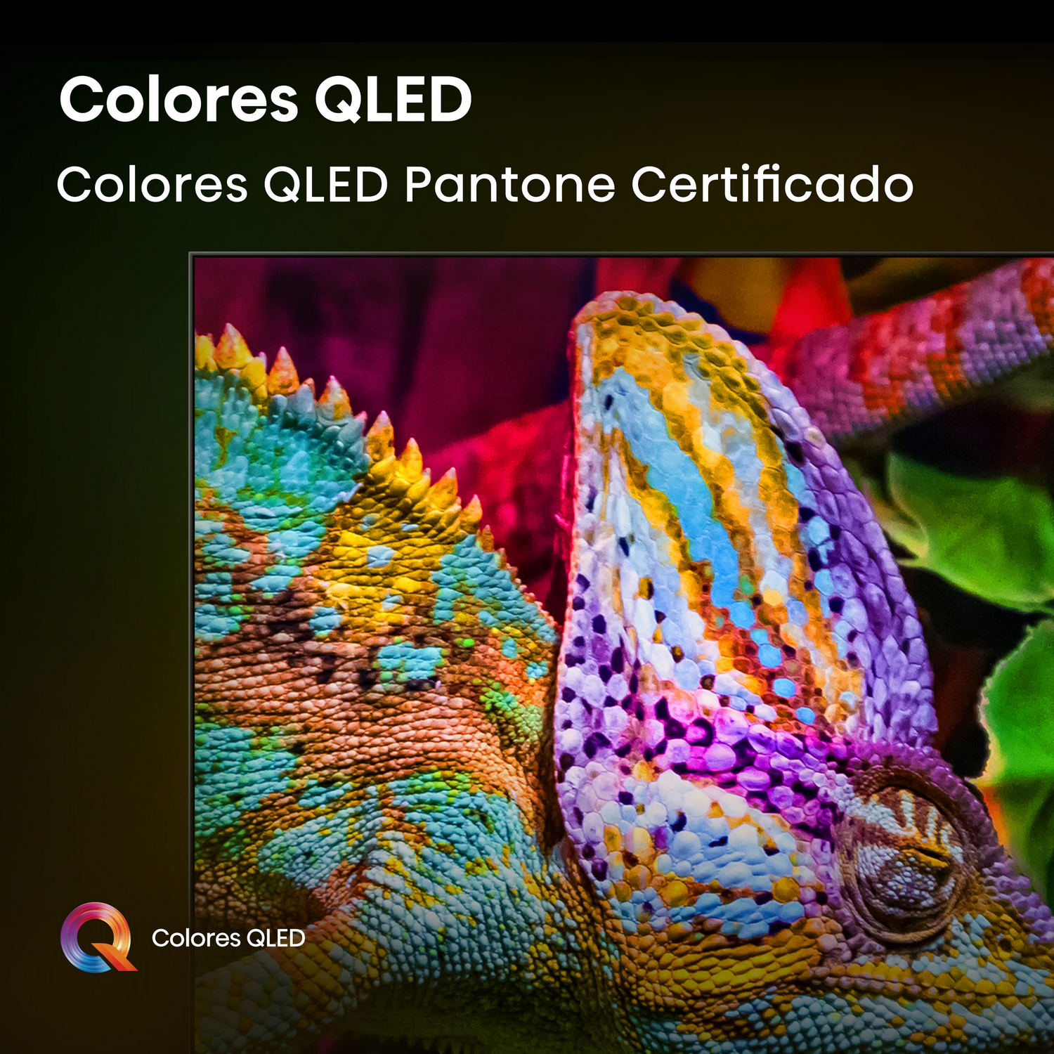 Primer plano de la cabeza de un camaleón con colores vibrantes. Fondo oscuro con texto 'Colores QLED' y un logotipo.
