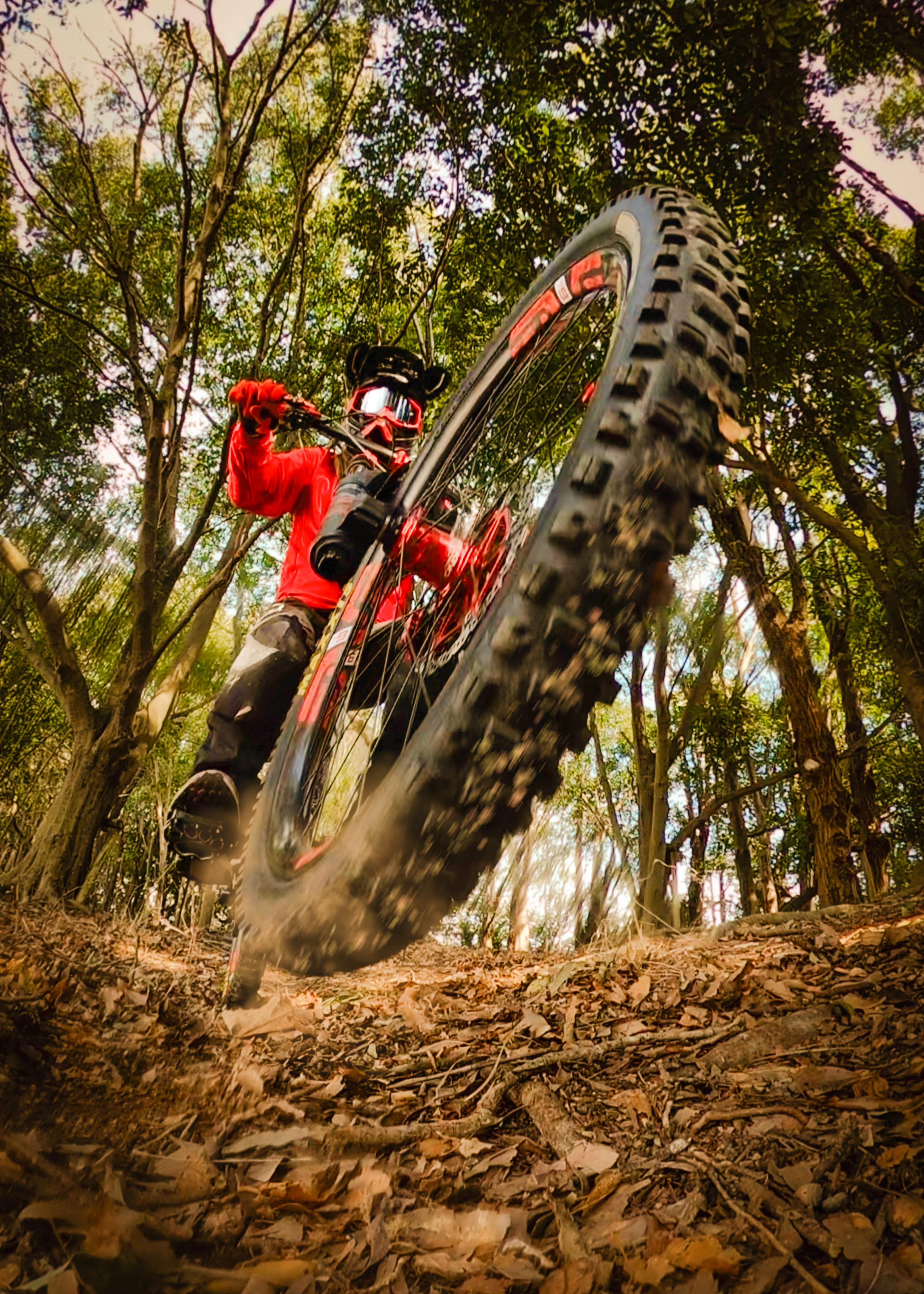 Mountainbiker in roter Ausrüstung, der mit einem großen Reifen durch einen Wald fährt, im Vordergrund Schmutz und Blätter.