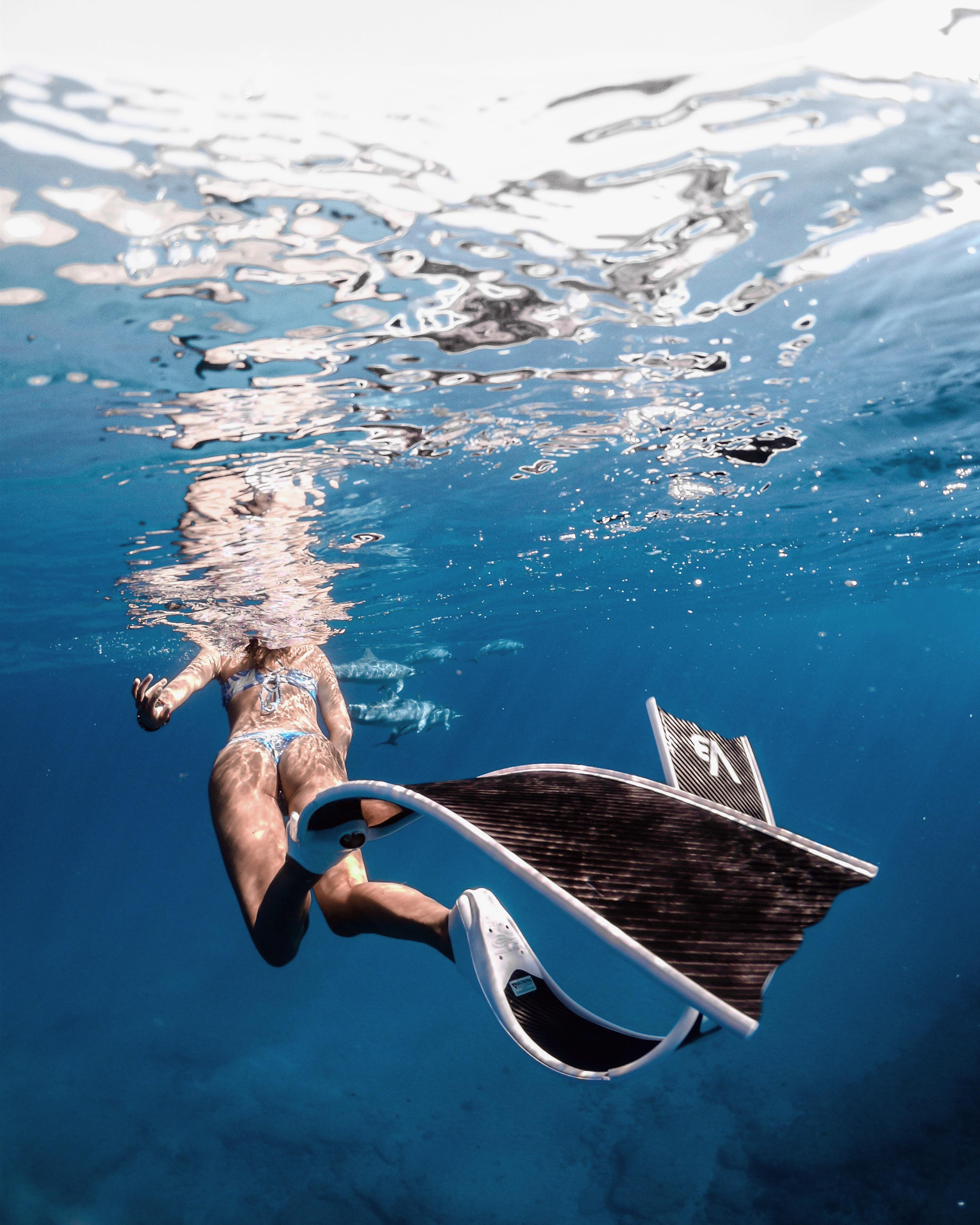 Eine Person unter Wasser mit Flossen, blauem Badeanzug und schwarz-weißen Flossen. Im Hintergrund schwimmen Delfine.