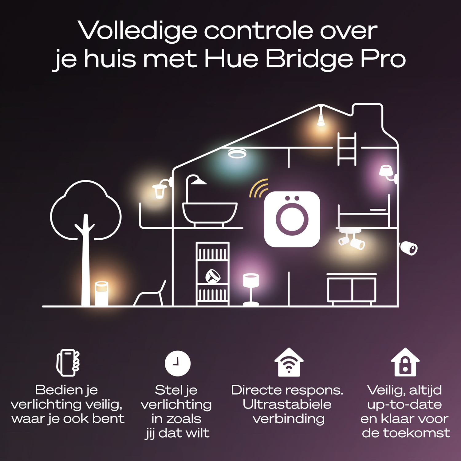 Illustration of a house interior with lights, a tree, and text about home lighting control.