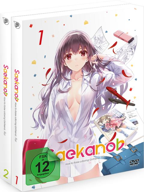 Anime-DVD-Box-Set. Auf dem Cover ist eine Manga-Frau in einem weißen Hemd zu sehen, mit Text und Objekten drumherum.