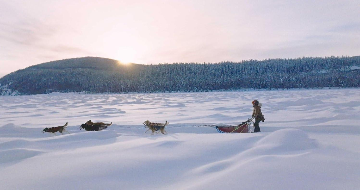 Eine Person schlitten mit Hunden in einer schneebedeckten Landschaft. Wald und Berg sind im Hintergrund. Die Sonne steht am Himmel.