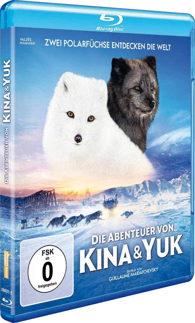 Blu-ray-Cover: Zwei Polarfüchse. Einer weiß, einer dunkel. Titel lautet 'Die Abenteuer von Kina & Yuk'. Szene von Wölfen und schneebedeckter Landschaft.