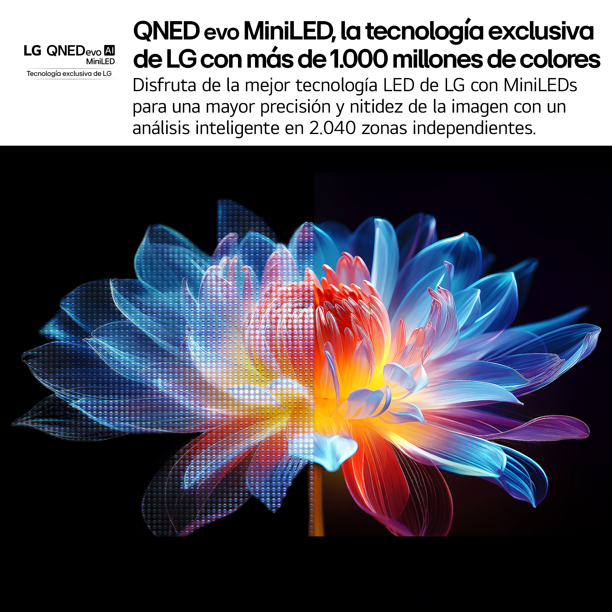 Imagen artística de una flor con tonos azules, rojos y naranjas sobre fondo negro, con texto sobre LG MiniLED.