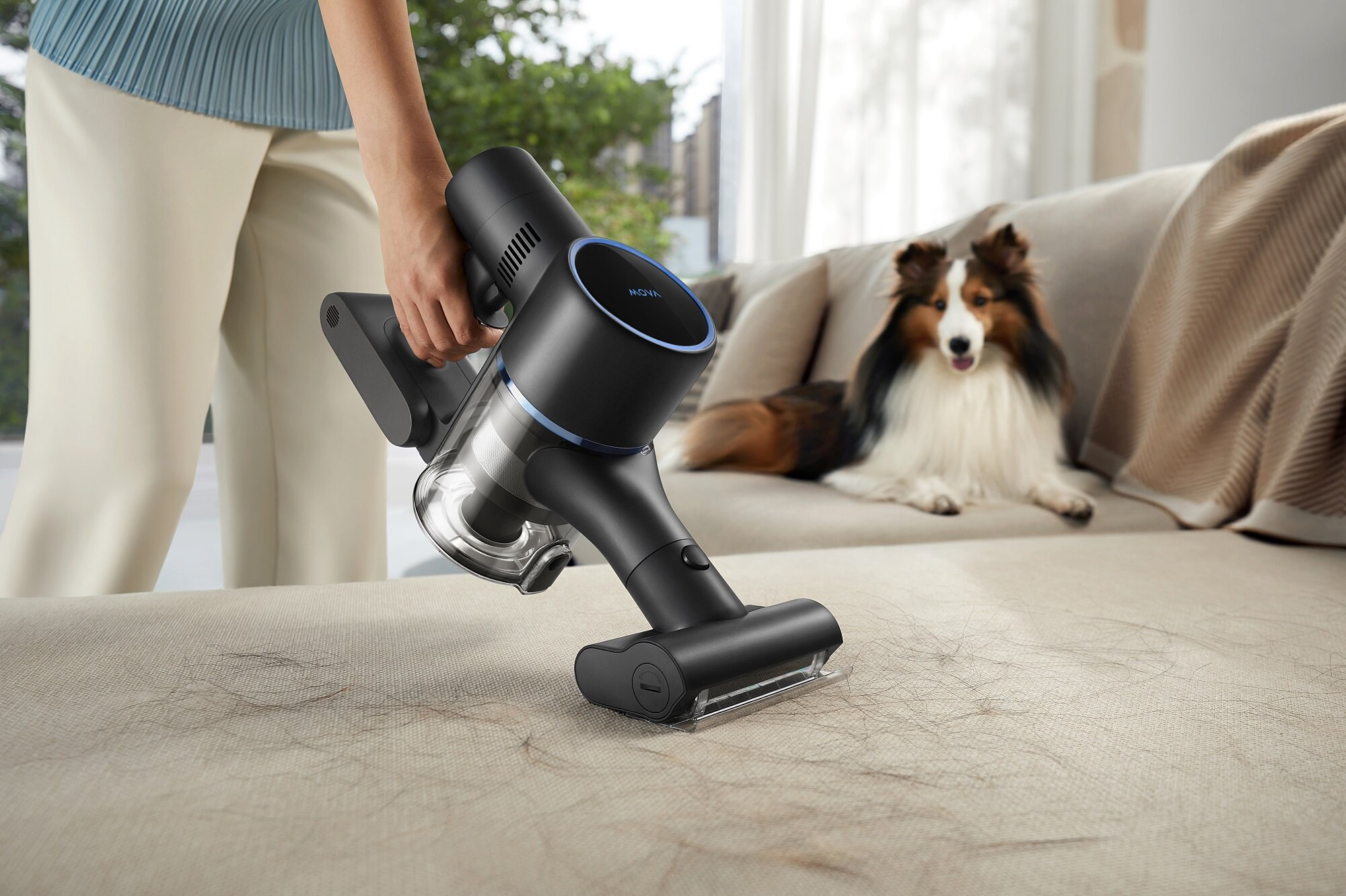 Osoba odkurza sofę czarnym odkurzaczem bezprzewodowym. Pies leży na sofie. Na sofie są włosy.