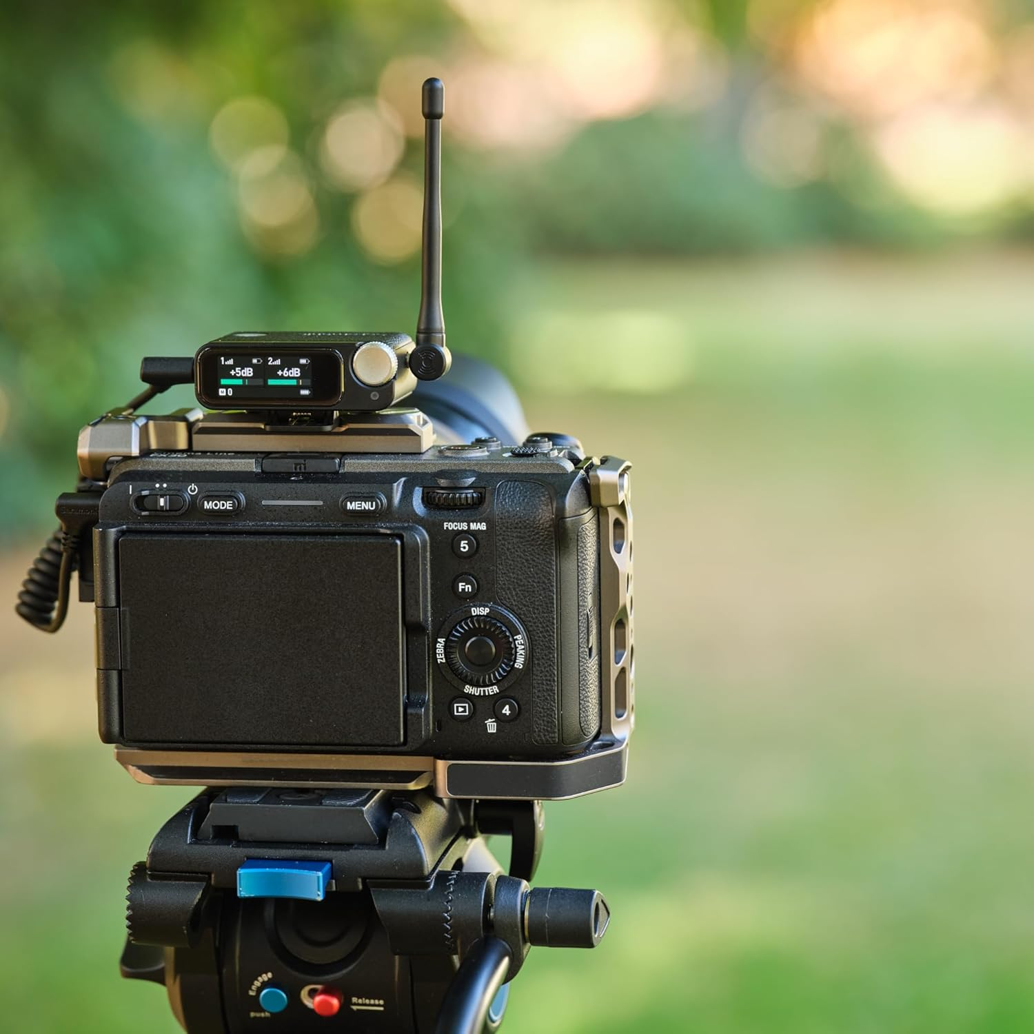 Bir mikrofon alıcısı ve anten takılı kamera, bir tripod üzerine monte edilmiş. Bokeh efektli yeşil arka plan.