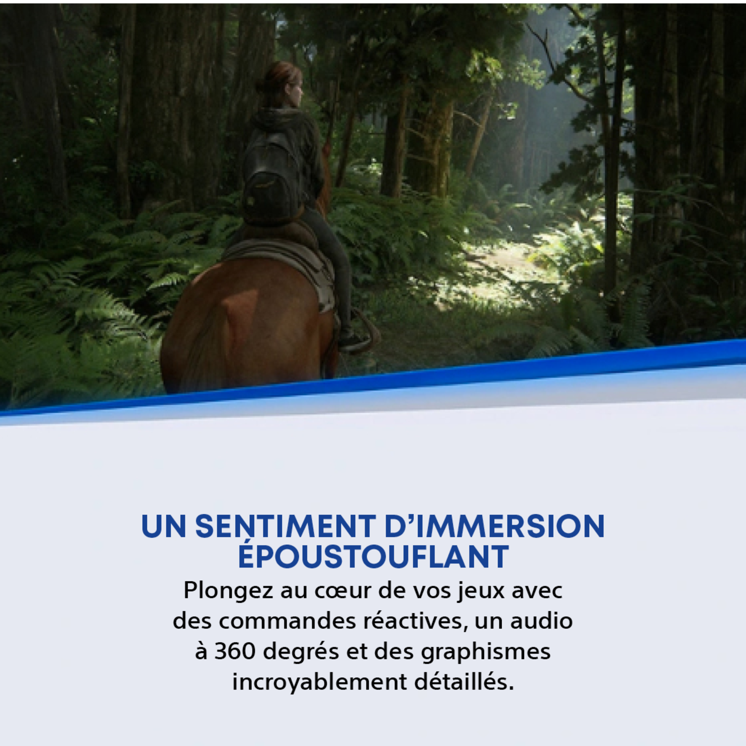 Une femme monte à cheval dans une forêt. La lumière du soleil traverse les arbres. Des fougères et un feuillage luxuriants les entourent.