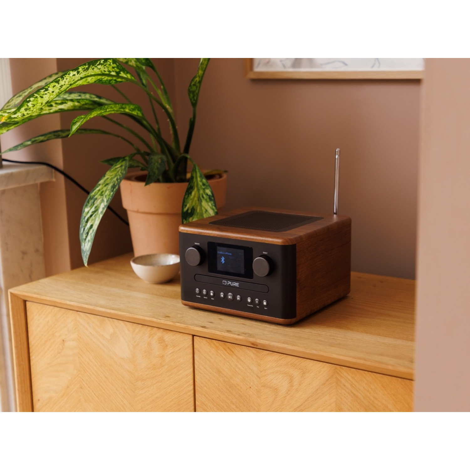 Wooden radio on a wooden cabinet. A plant in a pot is on the left, and a small bowl is in front of the plant.