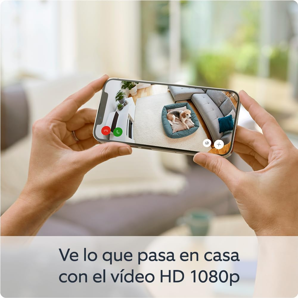 Manos sosteniendo un teléfono que muestra un perro en una cama, sofá y una alfombra blanca. Texto: Ve lo que pasa en casa con video HD 1080p.