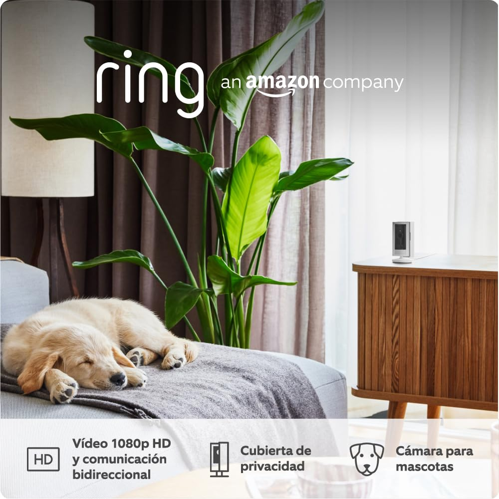 Un golden retriever durmiendo en un sofá. Una cámara Ring está en un mueble de madera. Una planta grande y una lámpara también están en la habitación.