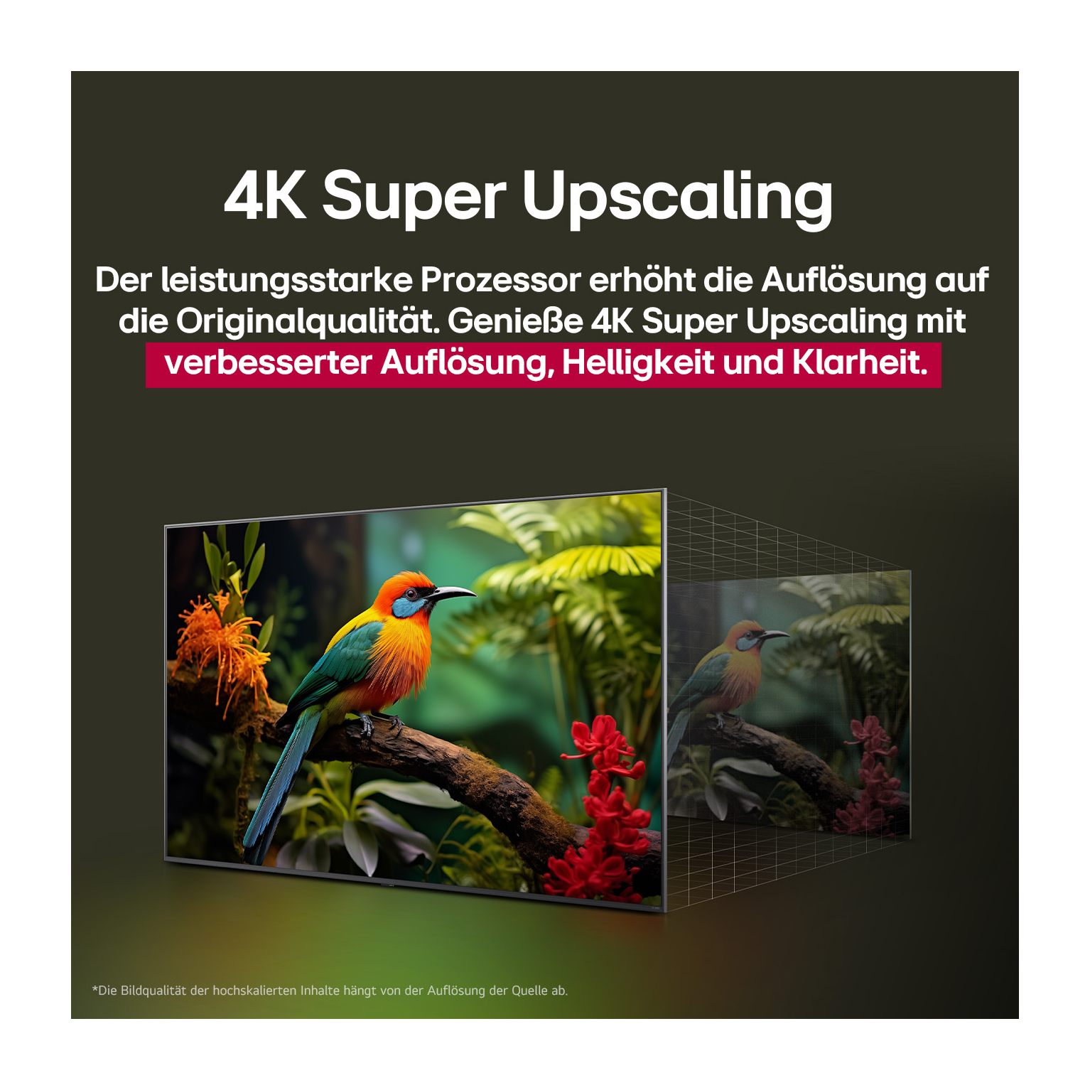 Ein Fernseher zeigt einen bunten Vogel auf einem Ast. Der Text lautet '4K Super Upscaling' und weitere Details zur Auflösung.