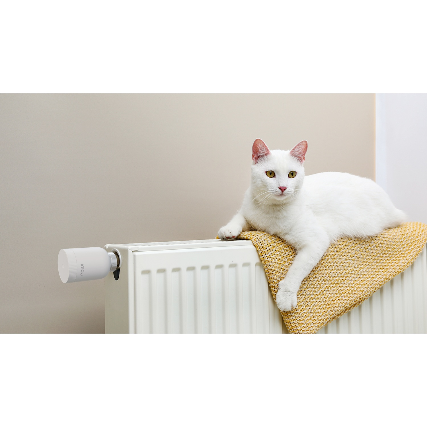 Een witte kat ligt op een gele deken bovenop een witte radiator. Een witte thermostaat is aan de radiator bevestigd. Beige muur op de achtergrond.
