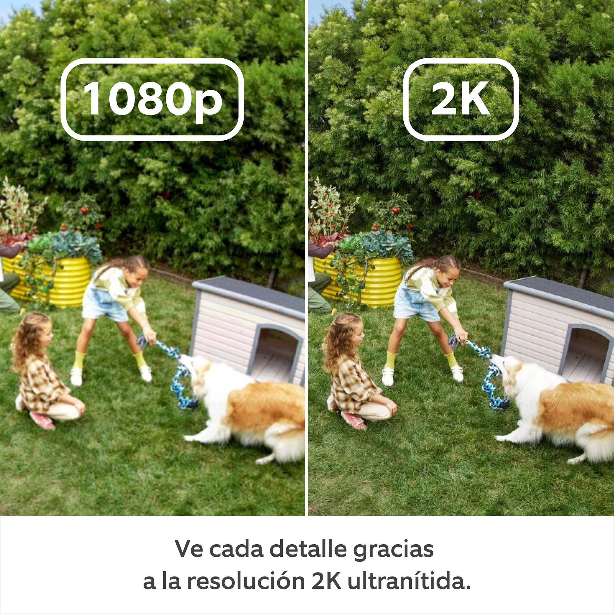 Dos niños juegan al tira y afloja con un perro sobre hierba. Caseta para perros al fondo. Plantas verdes y una comparación de resolución 1080p/2K.