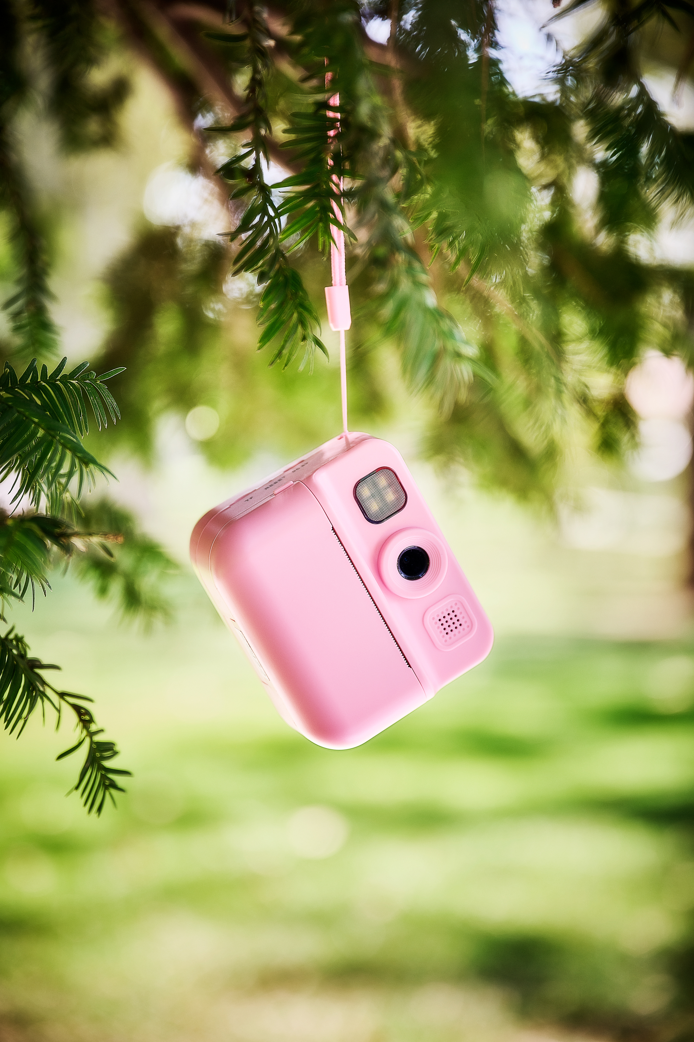 Pembe bir kamera, yeşil bir dalına bağlı pembe bir kayıştan asılı, bulanık yeşil bir arka plan üzerinde.