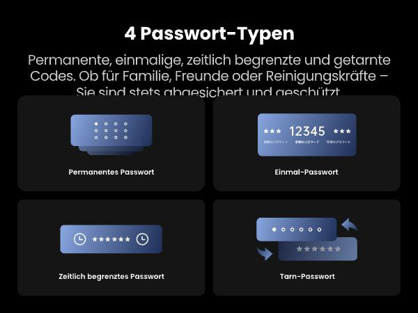 Diagramm zeigt vier Passworttypen: permanent, einmalig, zeitlich begrenzt und maskiert. Jeder mit Symbol und Name.