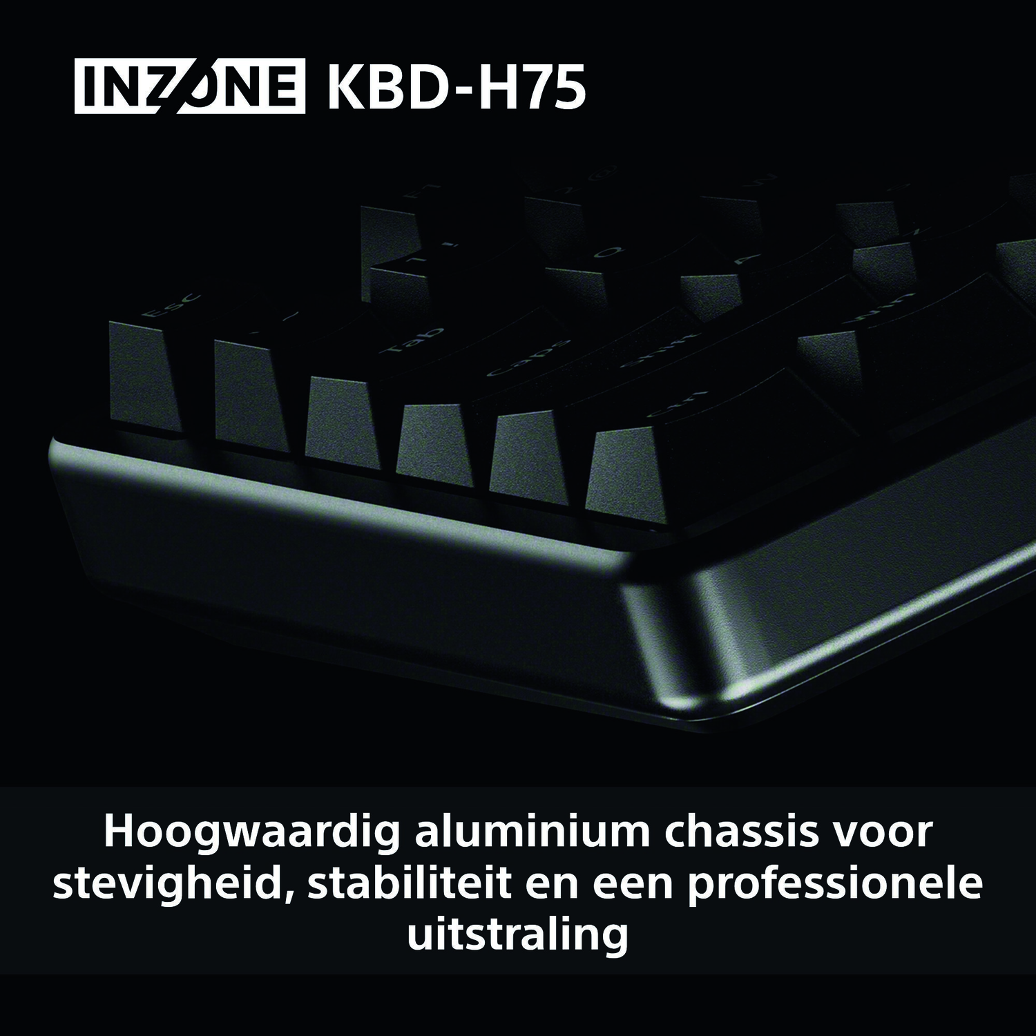 Black keyboard with white lettering. The image also shows the brand name INZONE and a description about the chassis.