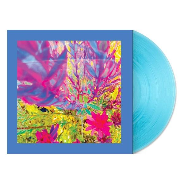 Eine blaue Schallplatte mit einem floralen Albumcover mit rosa und lila Blumen.