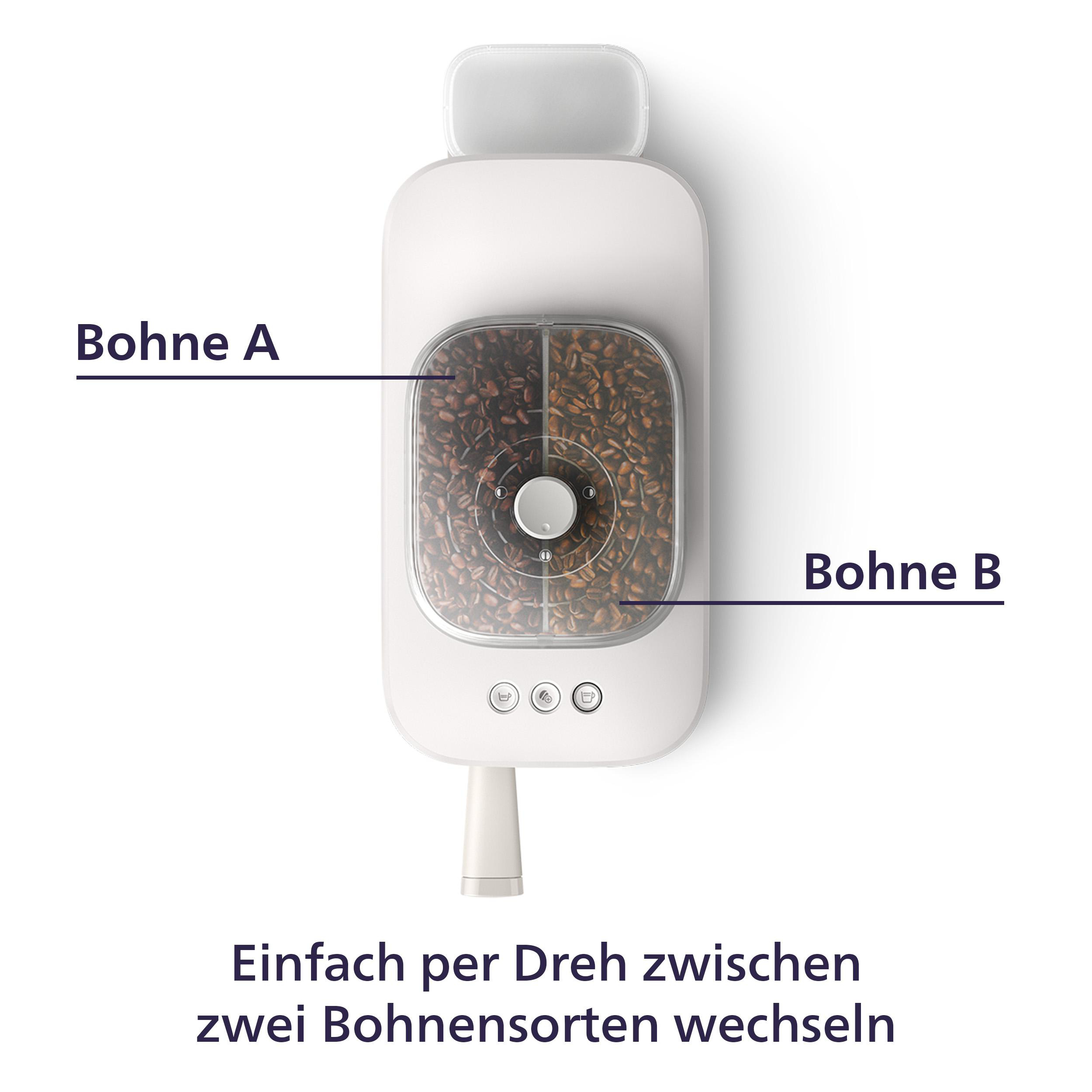 Ein weißer Kaffeebohnenspender mit Fächern für zwei Bohnensorten. Text beschriftet die Bohnen. Der Boden hat Knöpfe.