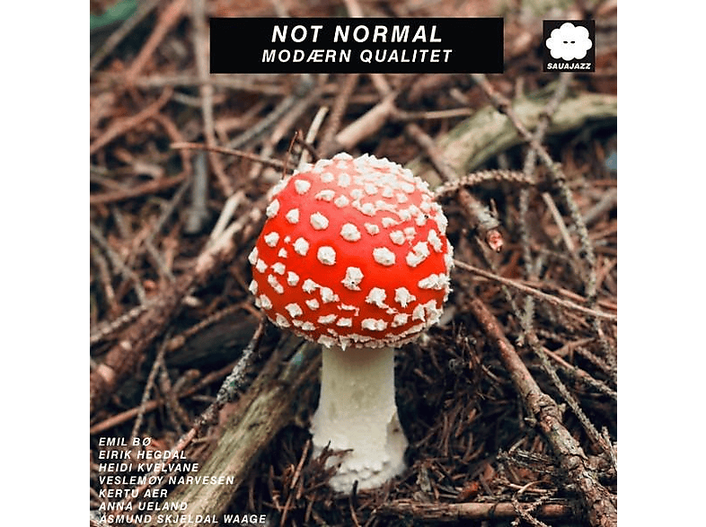 Not Normal - Modaern Qualitet - (CD)