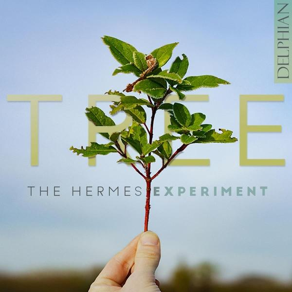 Eine Hand hält einen kleinen Baum mit grünen Blättern und einem roten Stiel. Der Hintergrund ist ein hellblauer Himmel und das Wort TREE.
