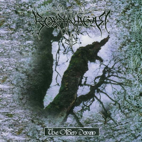 Albumcover. Wald mit Bäumen und Ästen, moosbewachsenen Stämmen und einem dunklen Logo. Der Titel lautet 'The Olden Domain'.
