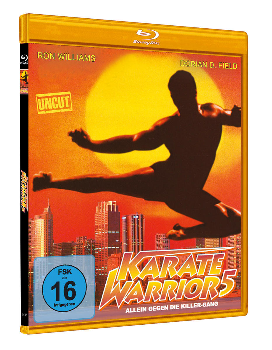 Filmcover. Silhouette eines Mannes in Aktion, Karate Warriors 5 Titel. Stadtbild im Hintergrund. Blu-ray Disc Hülle.