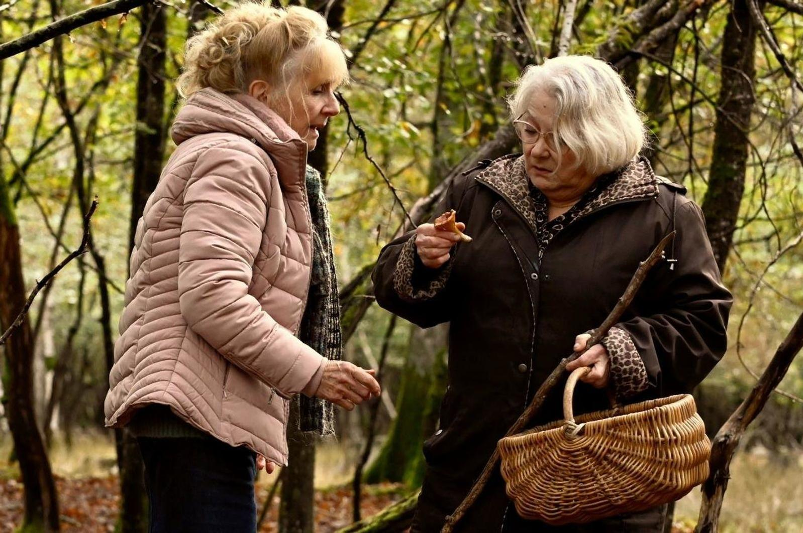 Zwei ältere Frauen in einem Wald. Eine hält einen Pilz, die andere greift danach. Ein Korb und ein Stock sind ebenfalls vorhanden.