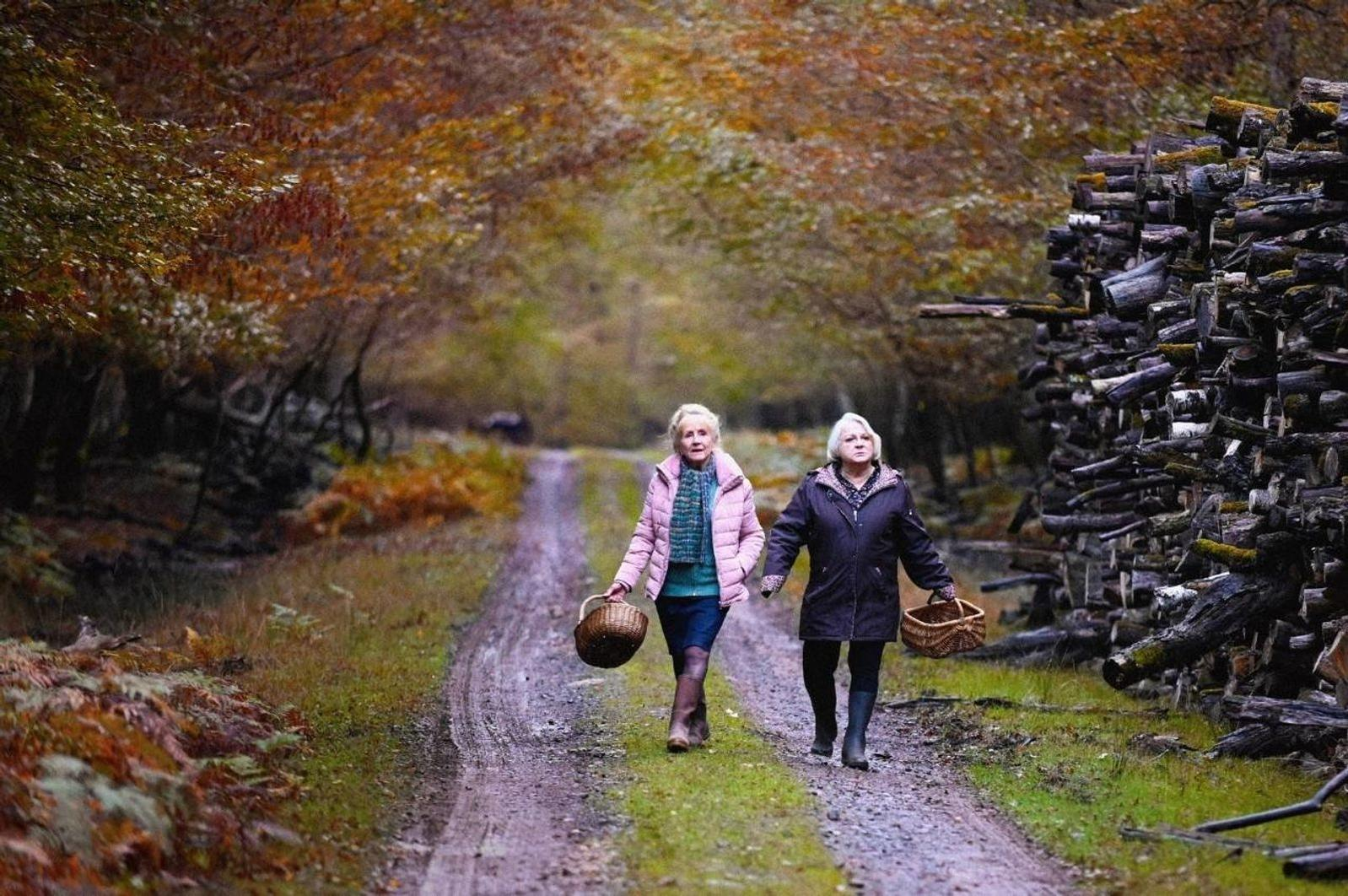 Zwei Frauen gehen auf einem Feldweg im Wald und halten Körbe. Bäume mit Herbstlaub wölben sich darüber. Rechts sind Holzscheite gestapelt.