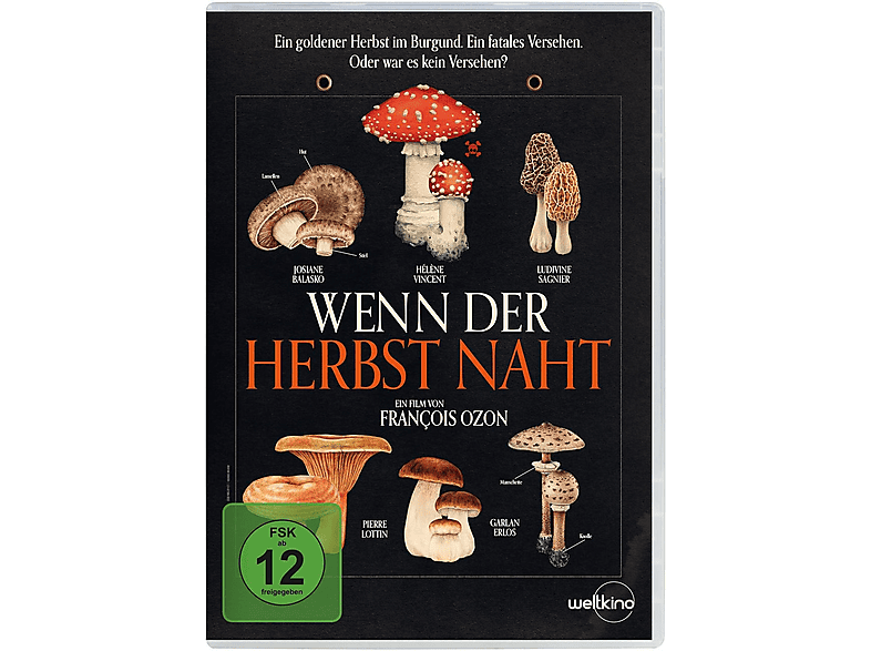 Wenn der Herbst naht DVD (FSK: 12)