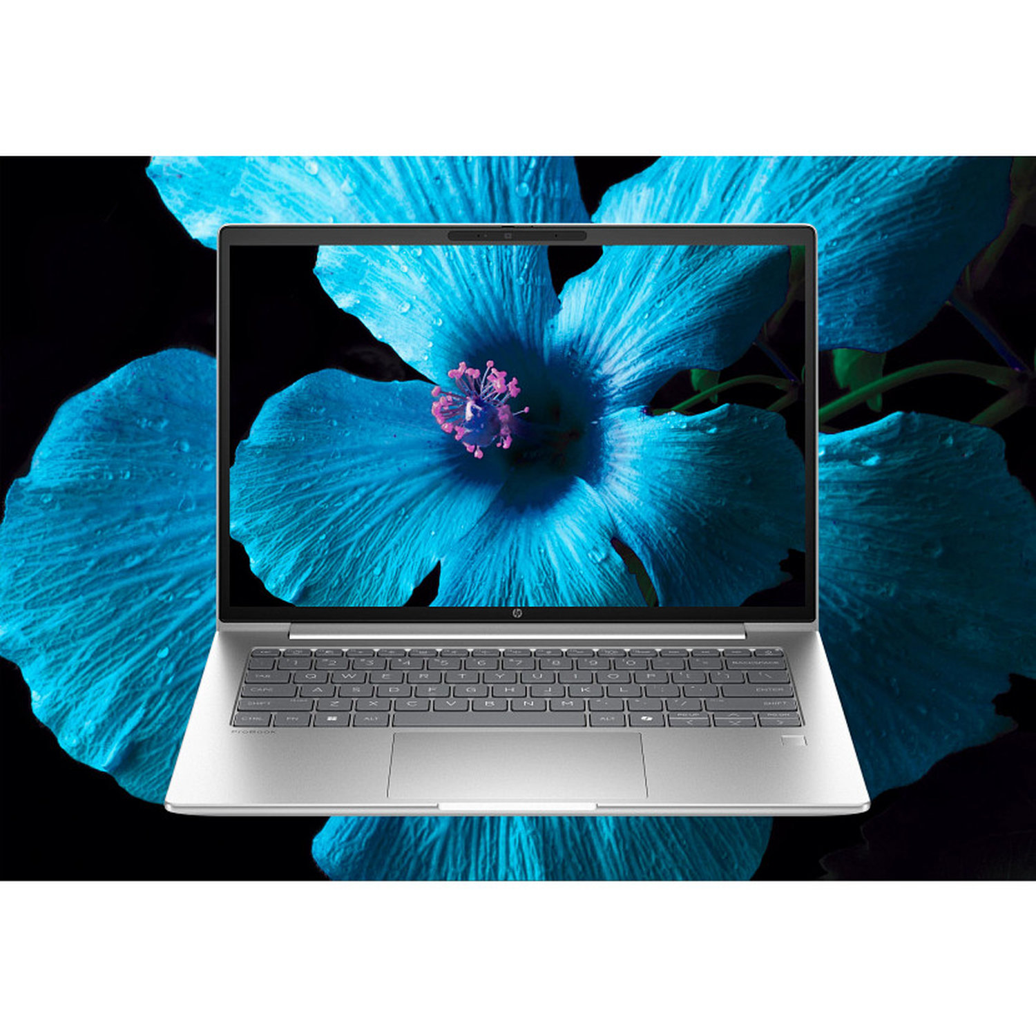 Laptop toont een blauwe bloem. De laptop is zilverkleurig, het scherm toont een close-up van een blauwe bloem met een roze centrum.