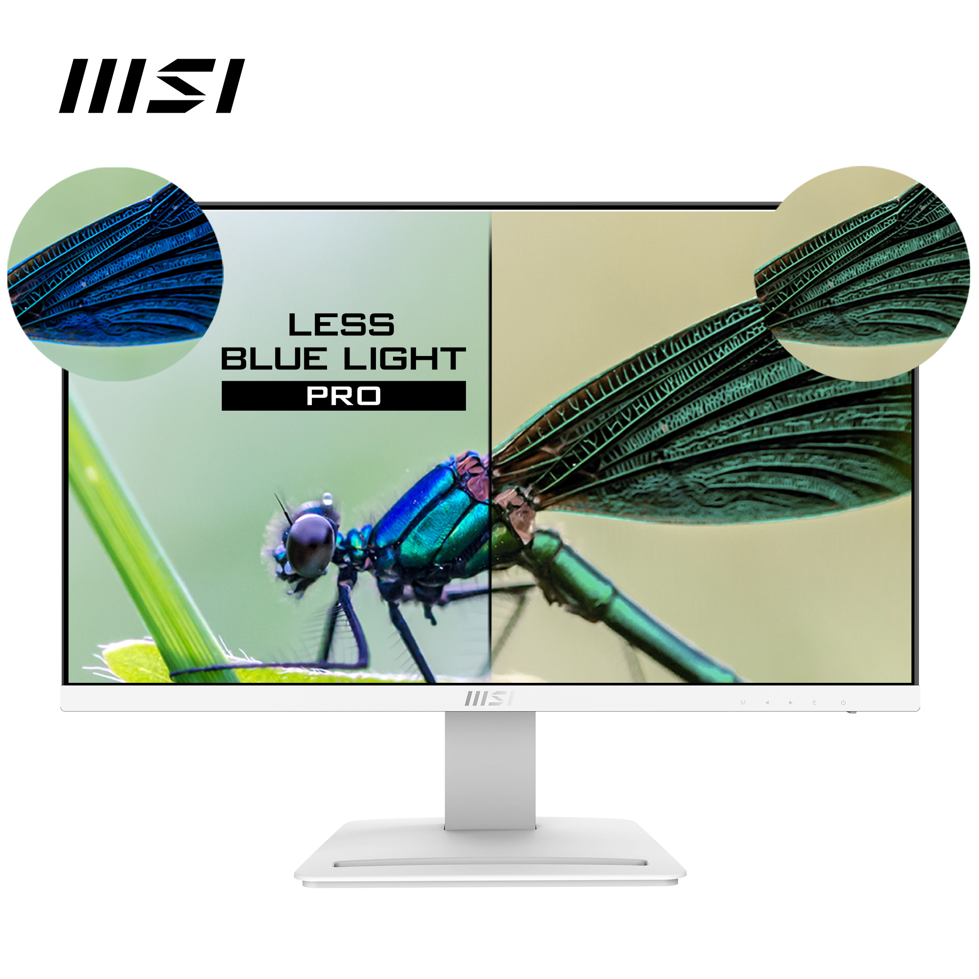 Il monitor MSI mostra una libellula. Lo schermo mostra un'immagine divisa, un lato più chiaro e l'altro più scuro, entrambi con dettagli di libellula.